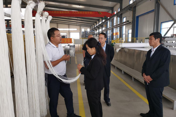 陜西航天建設集團有限公司總經理、黨委副書記謝明娟率隊赴遼寧一諾環保產業集團開展考察調研工作